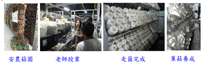 農作短期技能訓練班上課即景